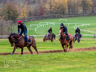 AK181121-76 - Jaboticaba second followed by Sarsen & Blame It On Sally